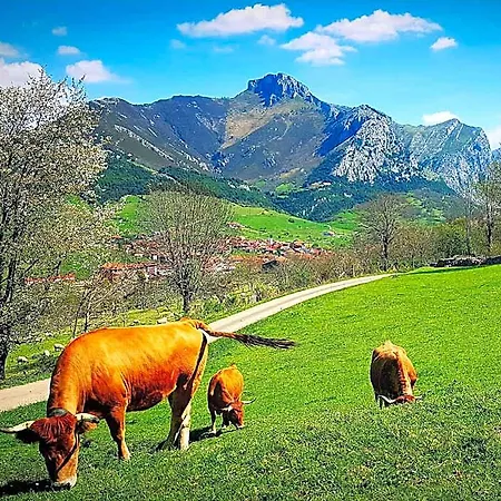La Rivera