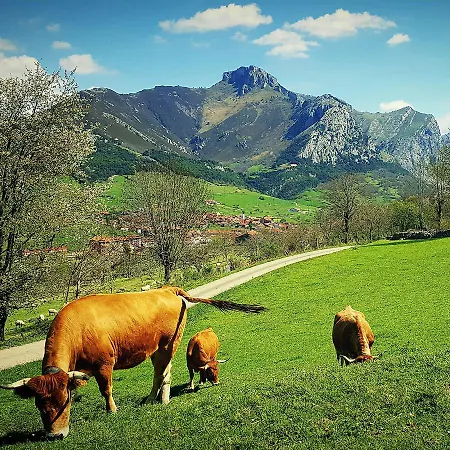 La Rivera Otel Arenas De Cabrales