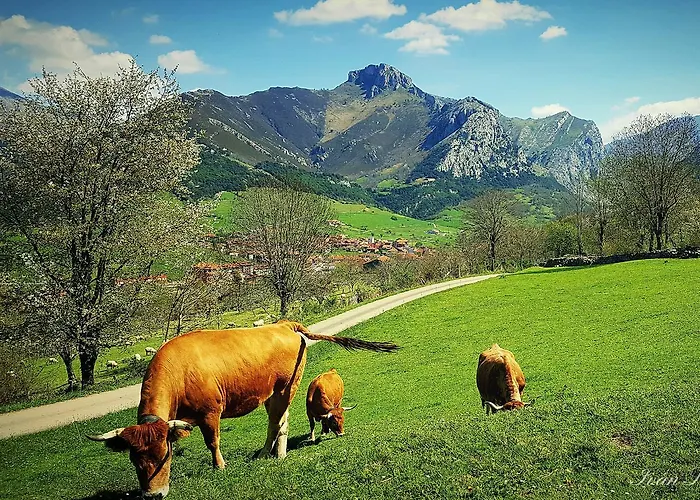 La Rivera Hotel Arenas De Cabrales